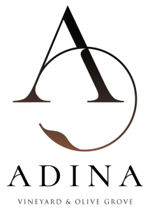 ADINA-LOGO-STRAP Adina Vineyard & Olive Grove Logo