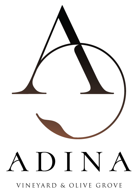 ADINA-LOGO-STRAP Adina Vineyard & Olive Grove Logo
