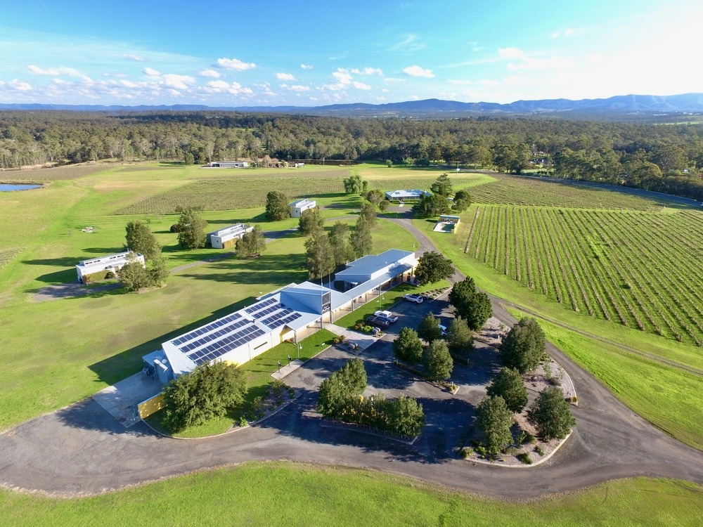 Adina Vineyard and Olive Grove Aerial Adina Vineyard and Olive Grove Aerial View