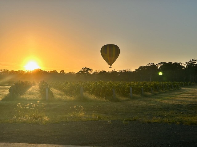 Image shows a hot air balloon lifting off at Adina Vineyard at sunrise